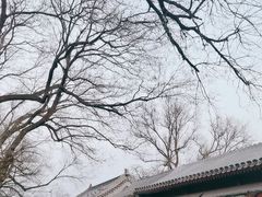 -北京国子监胡同