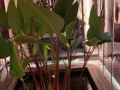 -都氏家DUSJOY(翡翠城店)