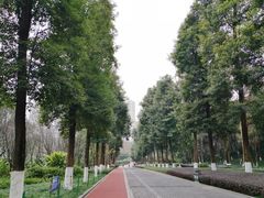 -龙头寺公园