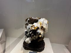 -安徽省地质博物馆