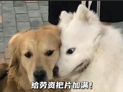 -WEGYMER健萌健身(麦德龙钰龙天下馆)
