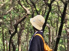 -七曲山风景区