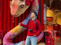 -溪岸路花鸟市场