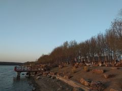 -丁香湖公园