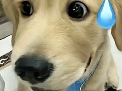 -YSL(南昌百盛店)