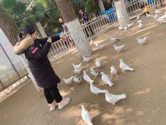 -荆州中山公园动物园