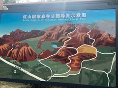 -红山国家森林公园