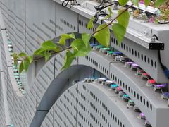 -金鸡岭桥头公园