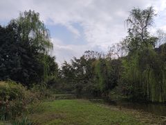 -张坝桂圆林公园