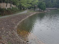 -象山森林公园