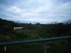 -企鹅岛