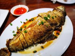 -正德顺順德雙皮奶(中信店)
