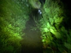-九峰山