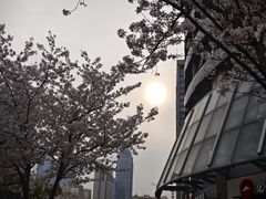 -星巴克臻选(苏州汇豪店)