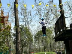 -合肥滨湖国家森林公园