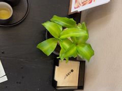 -灸春堂·专业艾灸·连锁品牌(之江银泰店)