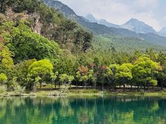 -玉湖村