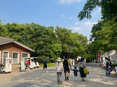 -吴淞炮台湾湿地森林公园烧烤区