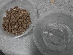 -半岛宠物医院24小时(科华中路店)