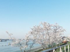 -幕燕滨江·燕子矶公园