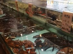 -新丁香海鲜主题餐厅(现代花园店)