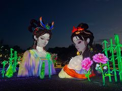 -洋湖国家湿地公园