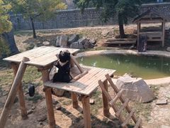 -石家庄市动物园