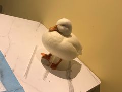 -RU DUCK柯尔鸭公社·撸鸭俱乐部·羊驼·小香猪