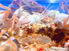 -V-ONE西雅图海鲜自助餐厅(仓山万达广场店)