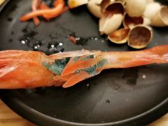 -一本钓鲔鱼屋