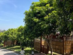 -广州市流溪河国家森林公园