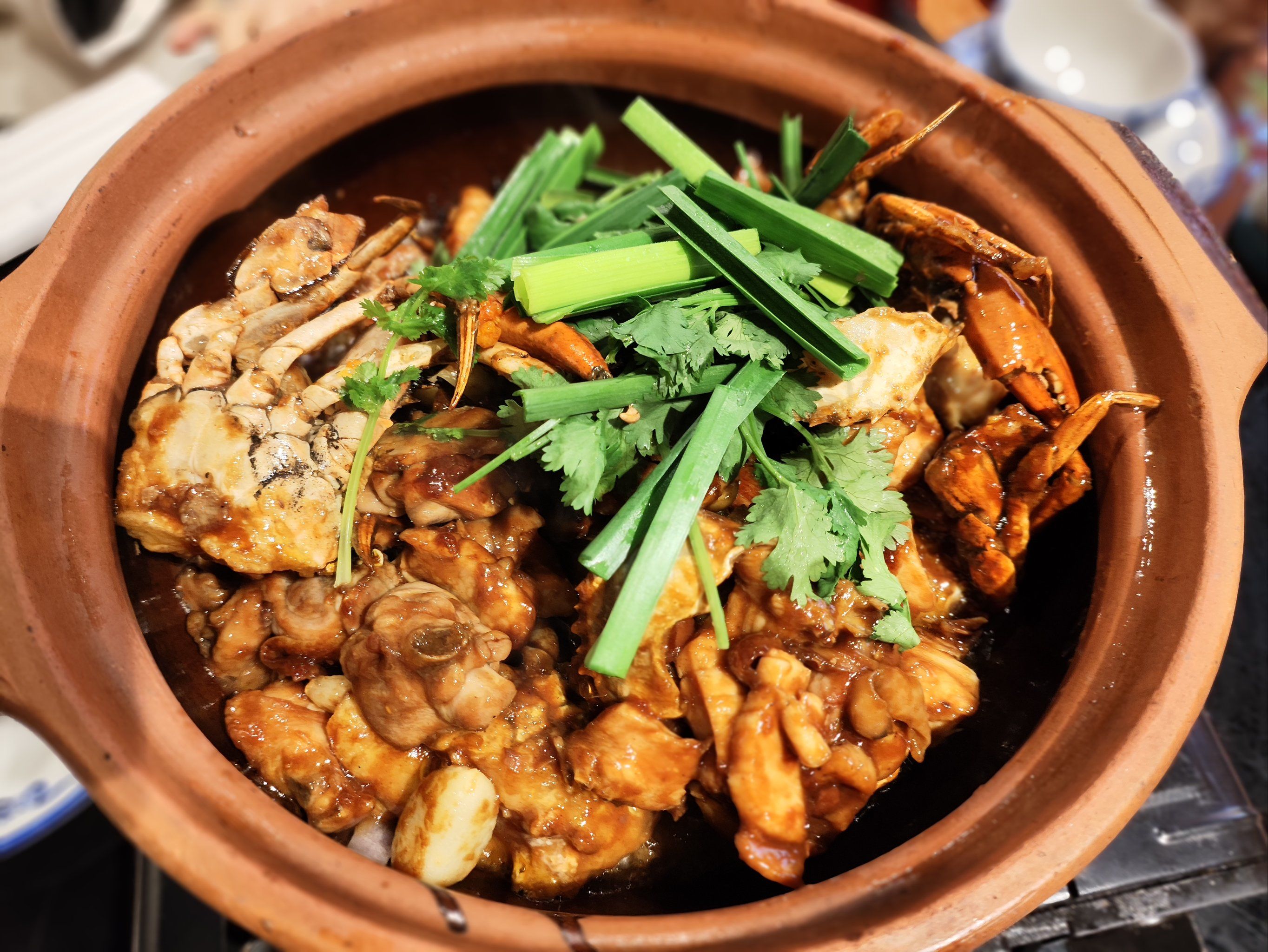 炭炉鸡煲