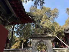 -南阳卧龙岗武侯祠