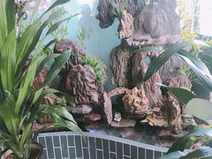 -每食每刻·皖北新民地锅鸡