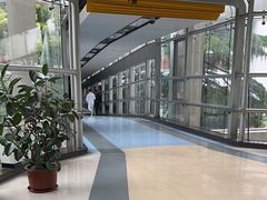 -复旦大学附属中山医院(西院区)