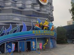 -青岛嘉年华主题乐园