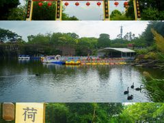 -广州莲花山旅游区