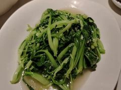 鸡毛菜-川味堂·四川豆花(八卦岭店)
