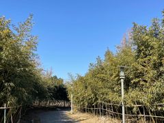 -桃花岛公园