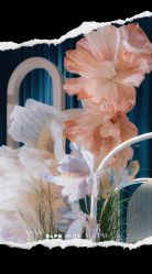 -WOW Wedding婚礼定制