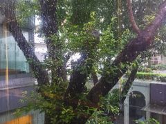 -白云宾馆·白云宴餐厅