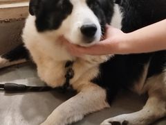 -深圳海边小筑客栈