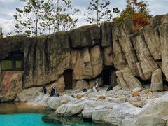 -上海野生动物园