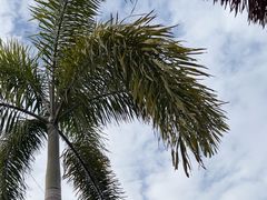 -光明小镇欢乐田园