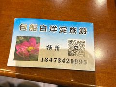 -白洋淀景区