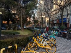 -海上海弘基休闲广场