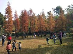 -晓港公园