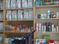 -中农大我爱我爱24h动物医院·中医针灸·猫专科·骨科医疗中心(双井店)