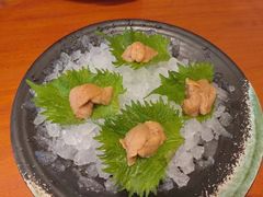 -月龍吟(朝龙汇店)