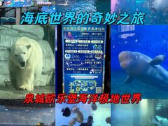 -泉城欧乐堡海洋极地世界